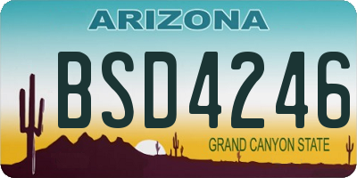AZ license plate BSD4246