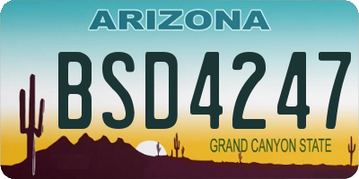 AZ license plate BSD4247