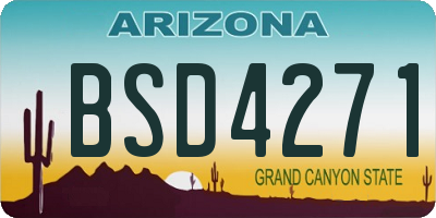 AZ license plate BSD4271