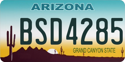 AZ license plate BSD4285