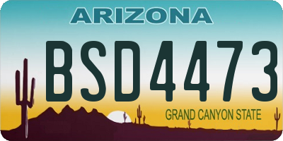 AZ license plate BSD4473