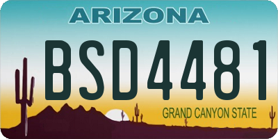 AZ license plate BSD4481
