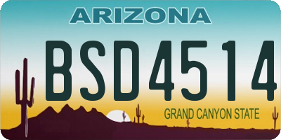 AZ license plate BSD4514