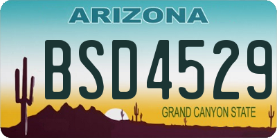 AZ license plate BSD4529