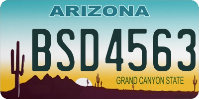 AZ license plate BSD4563