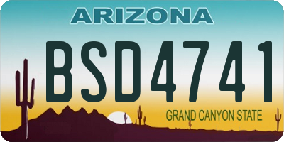 AZ license plate BSD4741