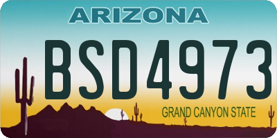 AZ license plate BSD4973