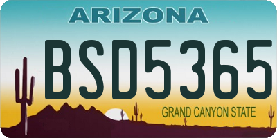 AZ license plate BSD5365