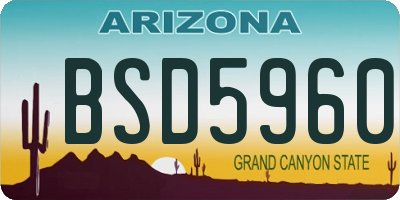 AZ license plate BSD5960