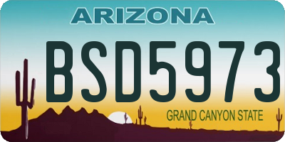 AZ license plate BSD5973