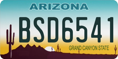 AZ license plate BSD6541