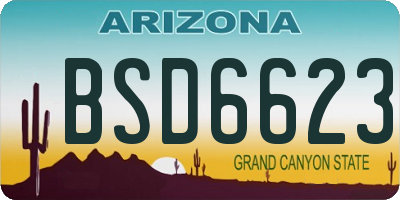 AZ license plate BSD6623