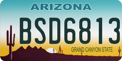 AZ license plate BSD6813