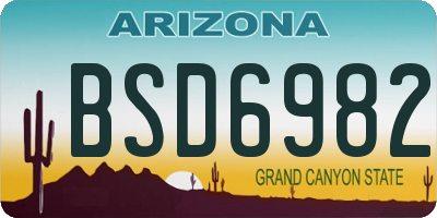 AZ license plate BSD6982