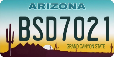 AZ license plate BSD7021