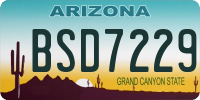 AZ license plate BSD7229