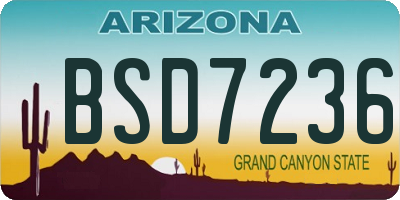 AZ license plate BSD7236