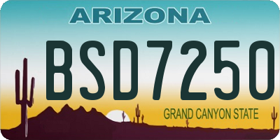 AZ license plate BSD7250