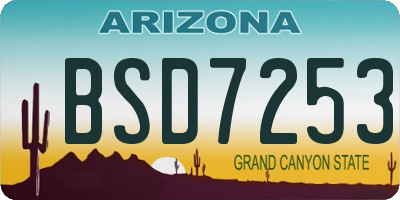 AZ license plate BSD7253