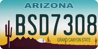 AZ license plate BSD7308