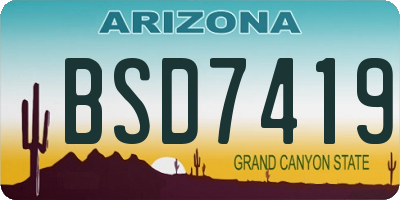 AZ license plate BSD7419