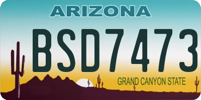 AZ license plate BSD7473