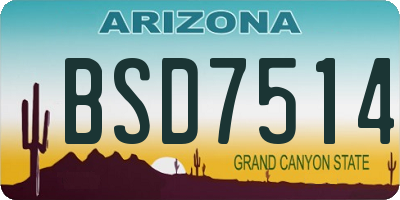AZ license plate BSD7514