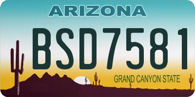 AZ license plate BSD7581