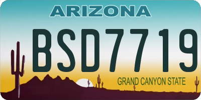 AZ license plate BSD7719