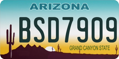 AZ license plate BSD7909