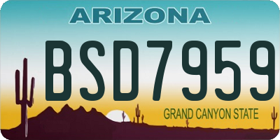 AZ license plate BSD7959
