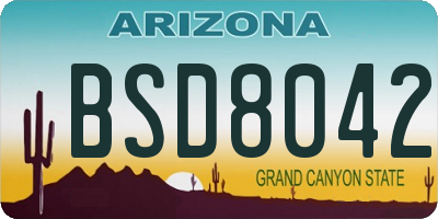 AZ license plate BSD8042