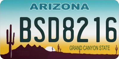 AZ license plate BSD8216