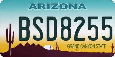 AZ license plate BSD8255