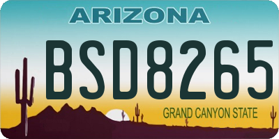 AZ license plate BSD8265