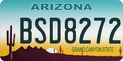 AZ license plate BSD8272
