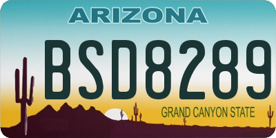 AZ license plate BSD8289