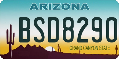 AZ license plate BSD8290