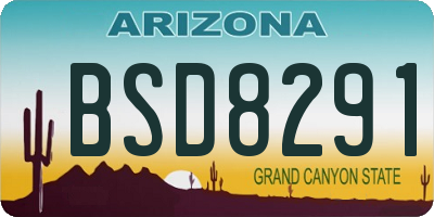 AZ license plate BSD8291