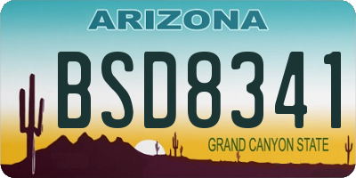 AZ license plate BSD8341