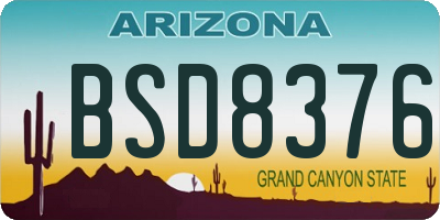 AZ license plate BSD8376
