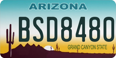 AZ license plate BSD8480