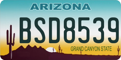 AZ license plate BSD8539