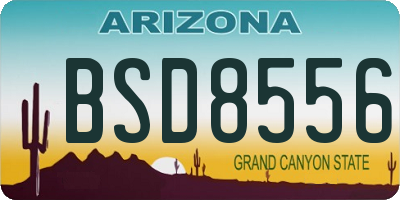 AZ license plate BSD8556