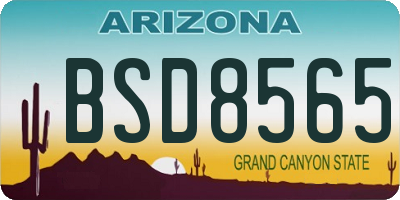 AZ license plate BSD8565