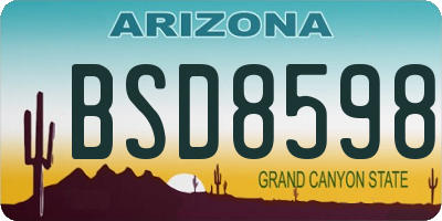 AZ license plate BSD8598