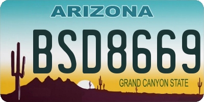 AZ license plate BSD8669