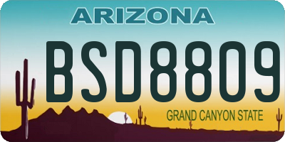 AZ license plate BSD8809