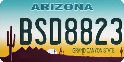 AZ license plate BSD8823