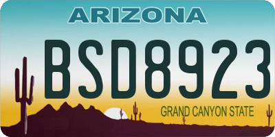 AZ license plate BSD8923